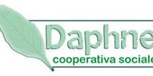 Cooperativa Daphne