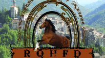 Ricci Quarter Horses
