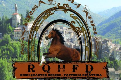 Ricci Quarter Horses